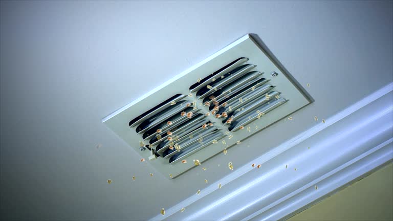 Best Best Air Duct Cleaning Near Me  in Northbrook, IL